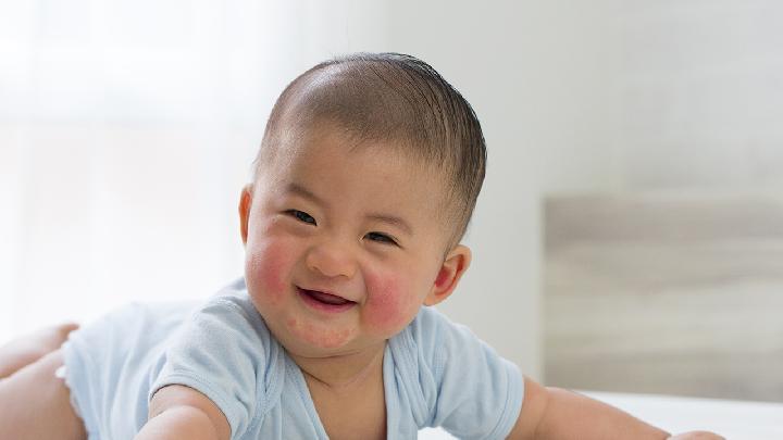 鸭肉与什么食物相克